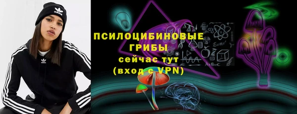 бошки Зеленодольск
