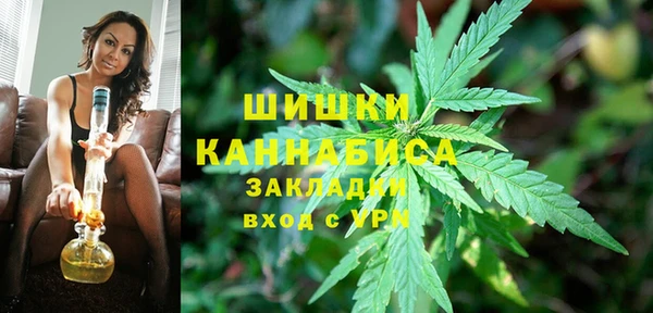 ГАЛЛЮЦИНОГЕННЫЕ ГРИБЫ Надым
