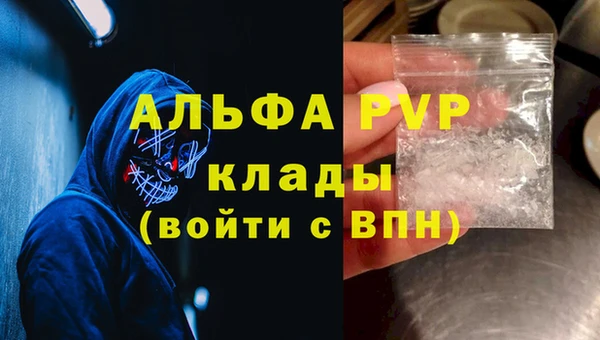 ГАЛЛЮЦИНОГЕННЫЕ ГРИБЫ Надым