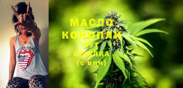 индика Абдулино
