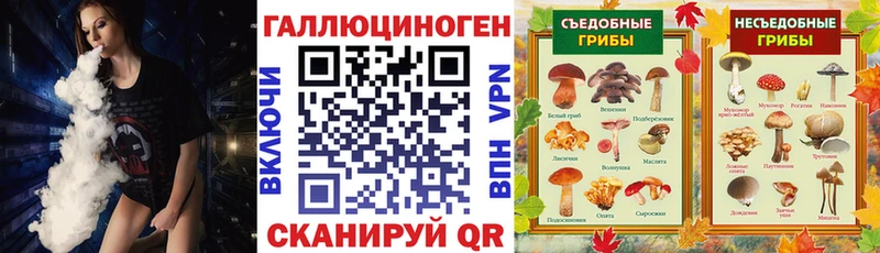 Галлюциногенные грибы MAGIC MUSHROOMS  Урус-Мартан 