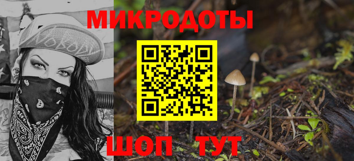 Урус-Мартан  Псилоцибиновые грибы Cubensis  Вход с VPN 